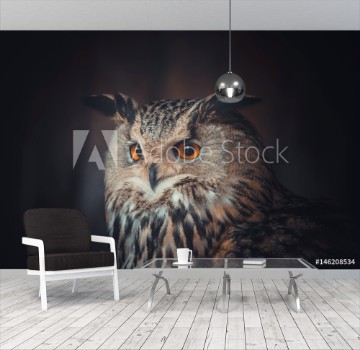 Picture of eagle owl
